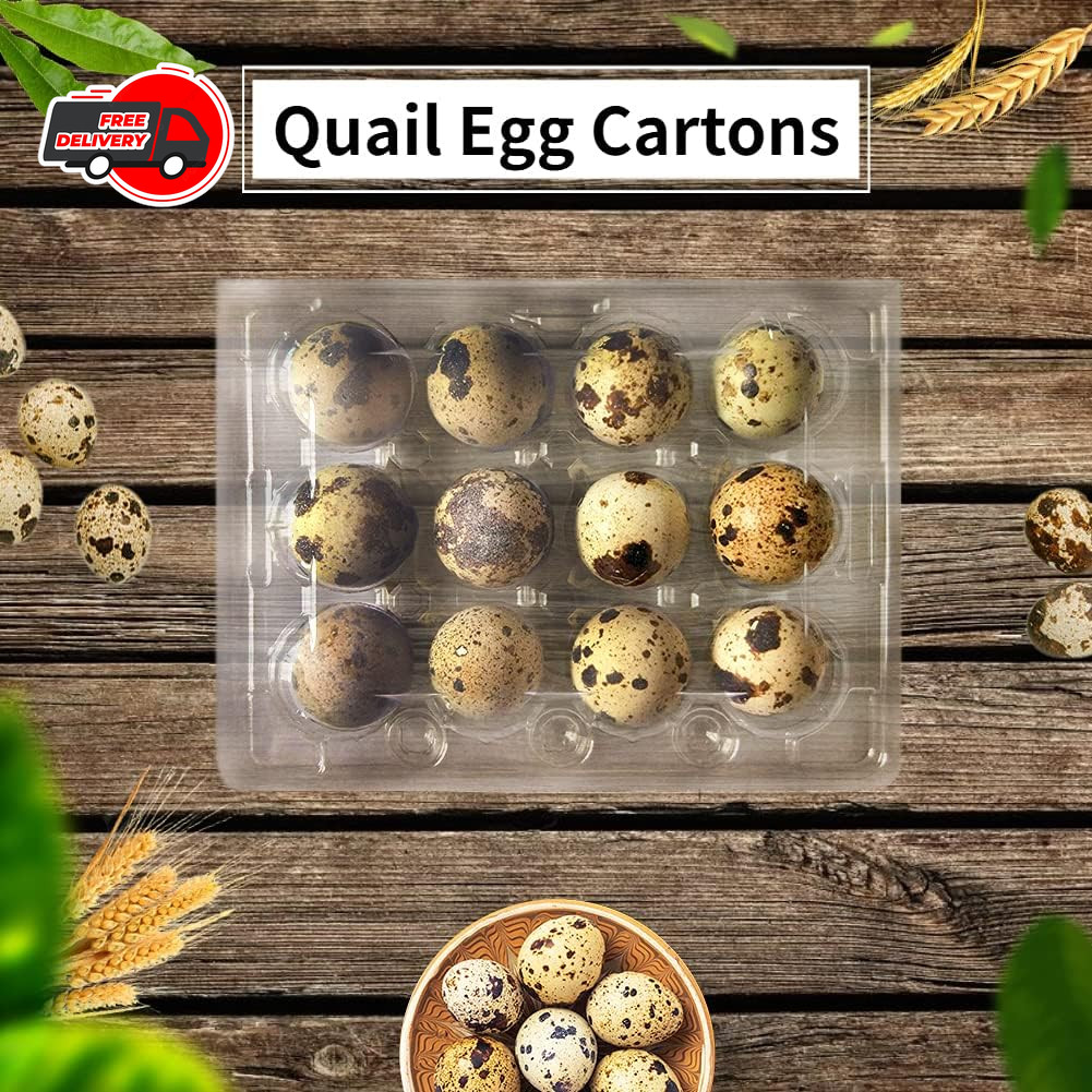 50 Pcs Quail Egg Cartons,12 Grids Small Egg Storage Holders,Quail Eggs Bulk Cart