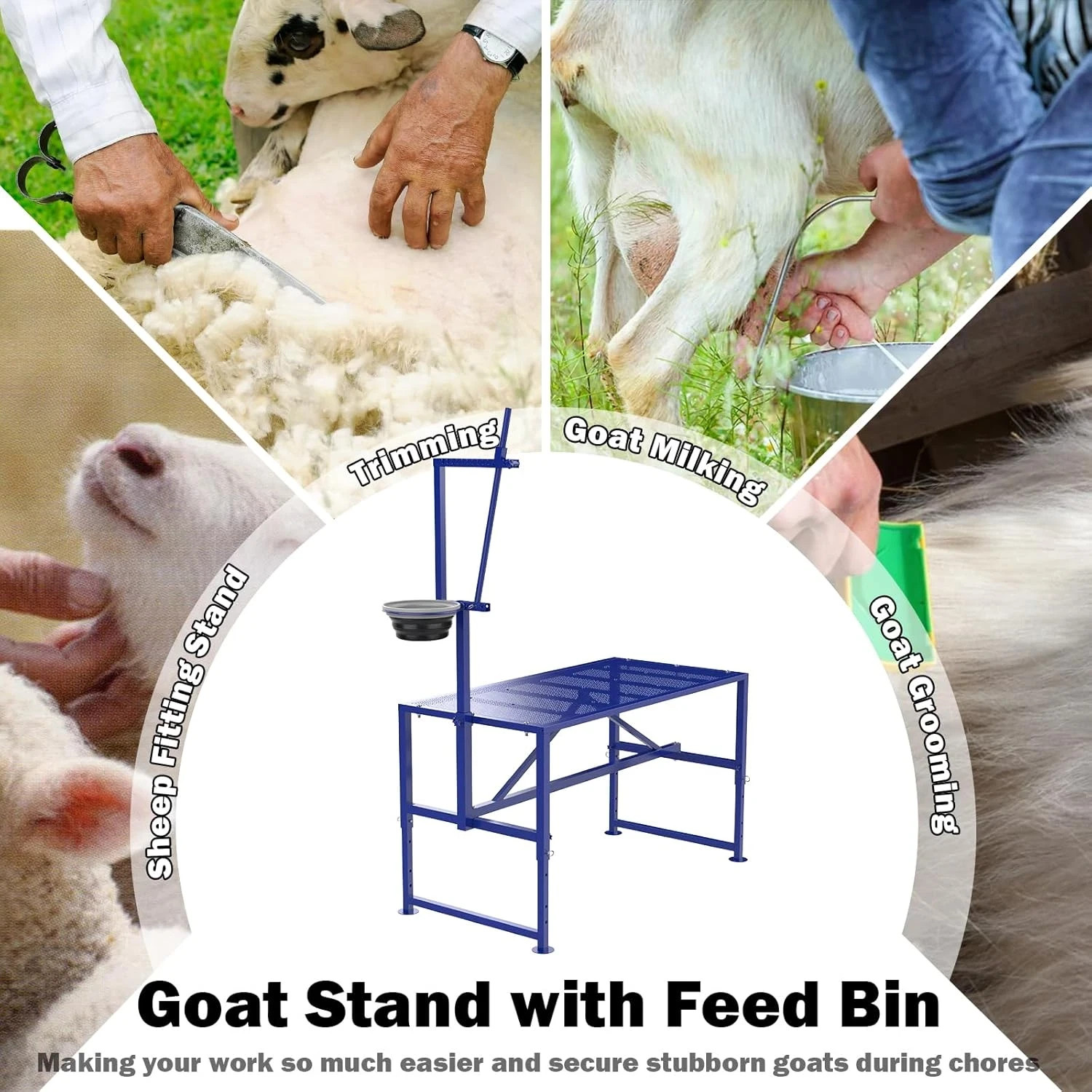 600 Lbs Goat Milking Stand with Feed Bin, Heavy Duty Goat Stand for Milking, Hoo