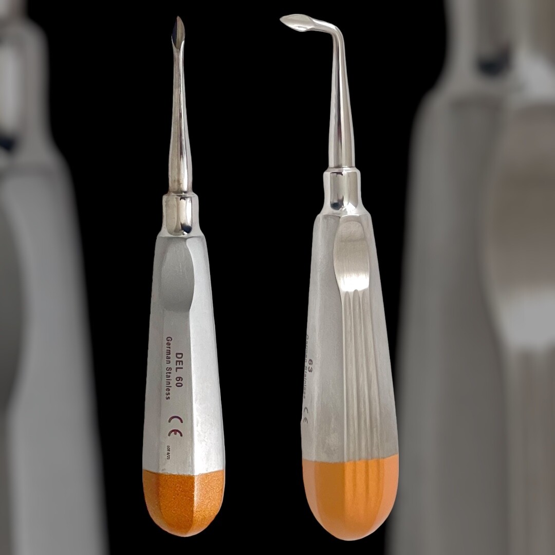 ArTLaB-2 Each Luxator Tooth Dental Elevator Root Tip Bernard Elevator Premium