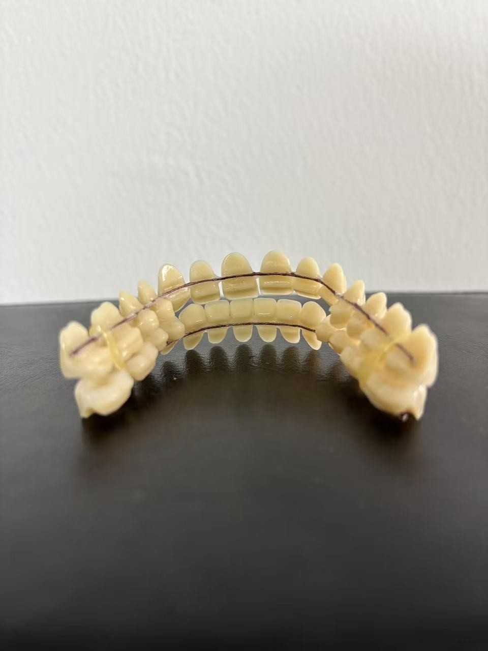 10X Dental Mouths Resin Artificial Dentition Acrylic Resin Synthetic Resin Teeth