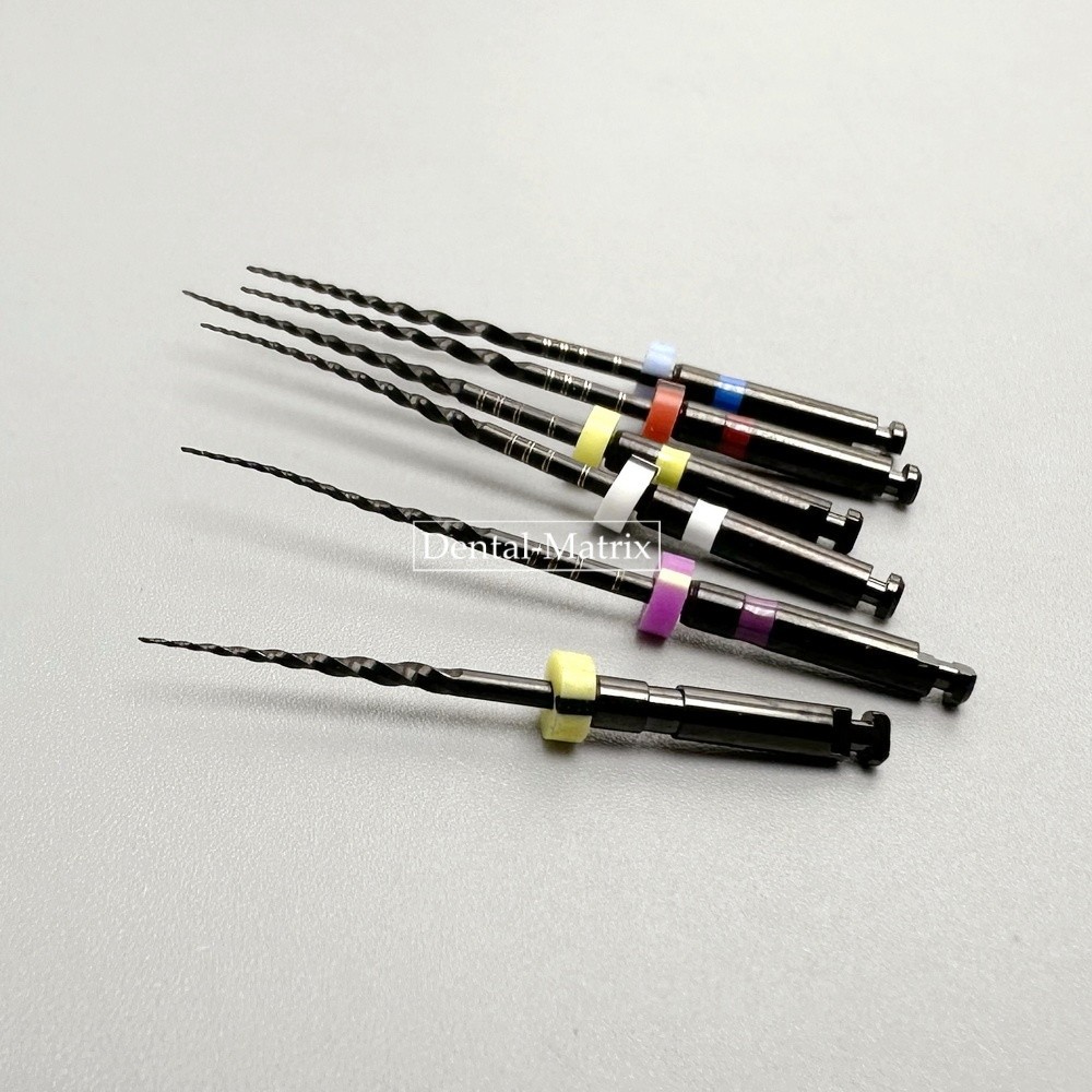 6pcs Dental Nickel Titanium Heat Activated Root Files Black Rotary Files 25mm