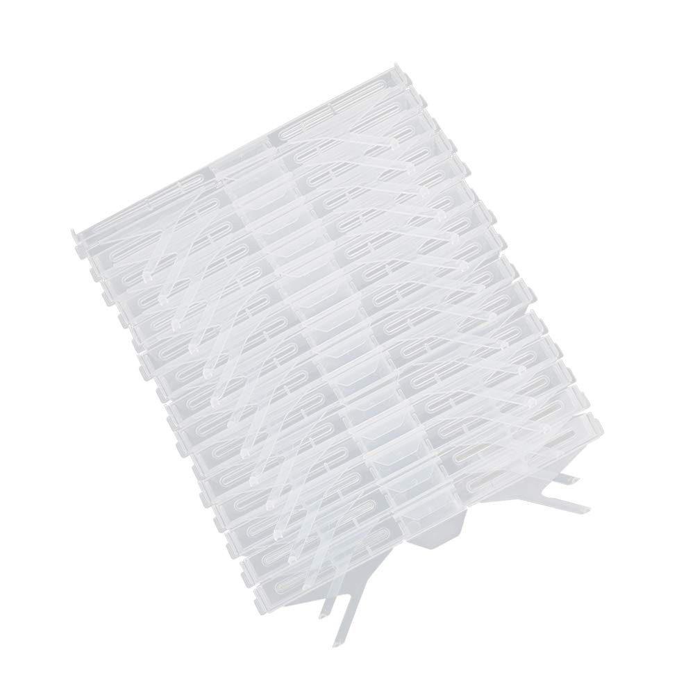 15 Pack Small Hive Beetle Traps for Beekeeping | Ultimate Prevention Tools & Sup