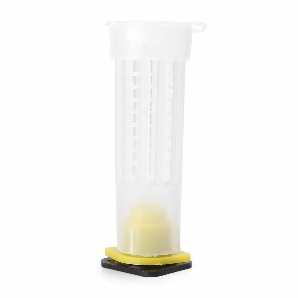 10 PCS Beekeeping Rearing Cup Kit Queen Bee Cages Beekeeper Equipment Tools