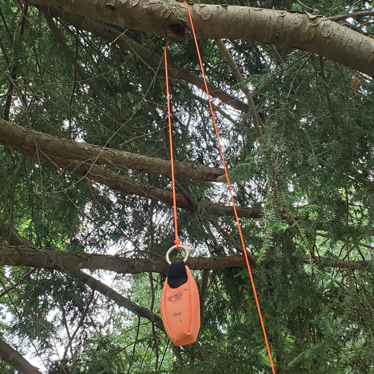 Arborist Throw Weight Pouch Bag 2-Pack Set (8 OZ and 12 OZ)- Outdoor Sports Arbo