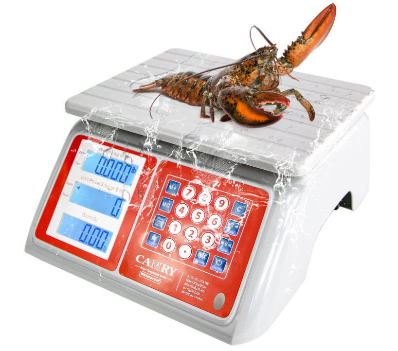 Waterproof Commercial Food Scale IPX7 66lb / 30kg Digital Price Computing Meat..