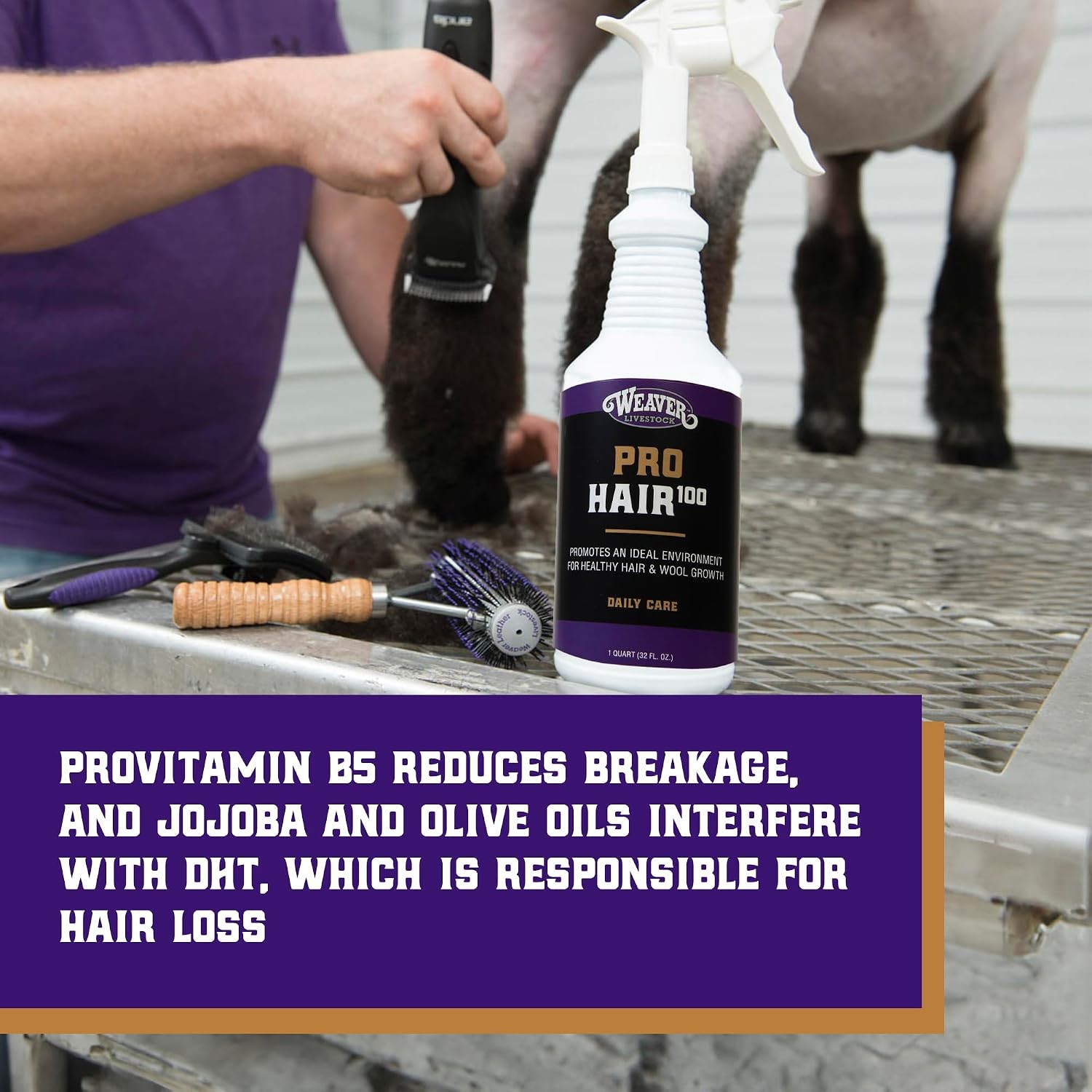 Weaver Livestock ProHair100 Healthy Hair and Wool Rejuvenating Livestock Hair Co