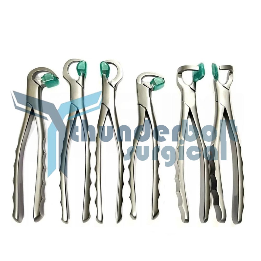 Dental Extraction Forceps Standard Series Set of 4 Pcs + 2 pcs Molar Series Set