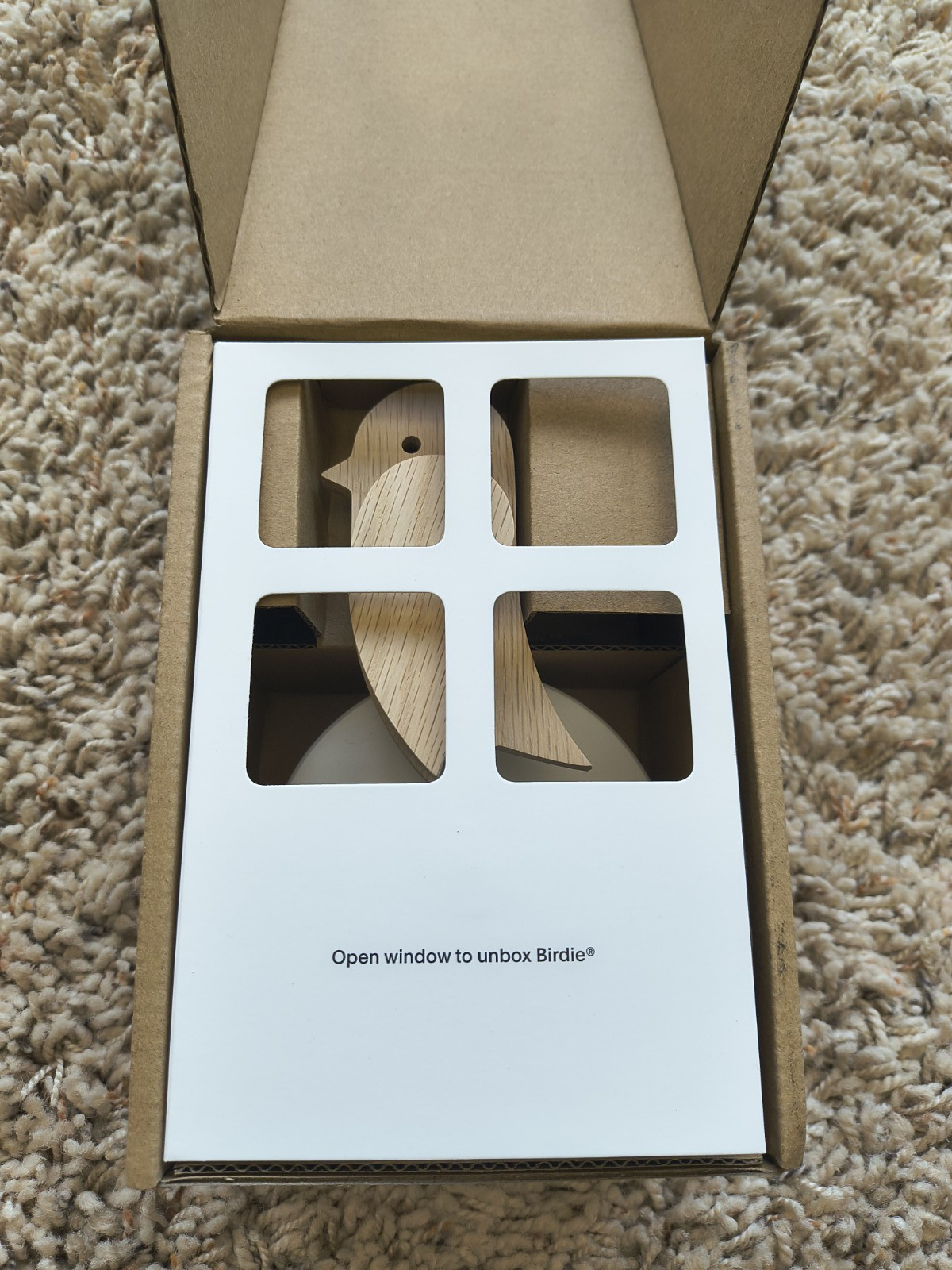 Birdie 2.0 Design Indoor CO2 Monitor Wood Denmark Designed House Burping NEW!