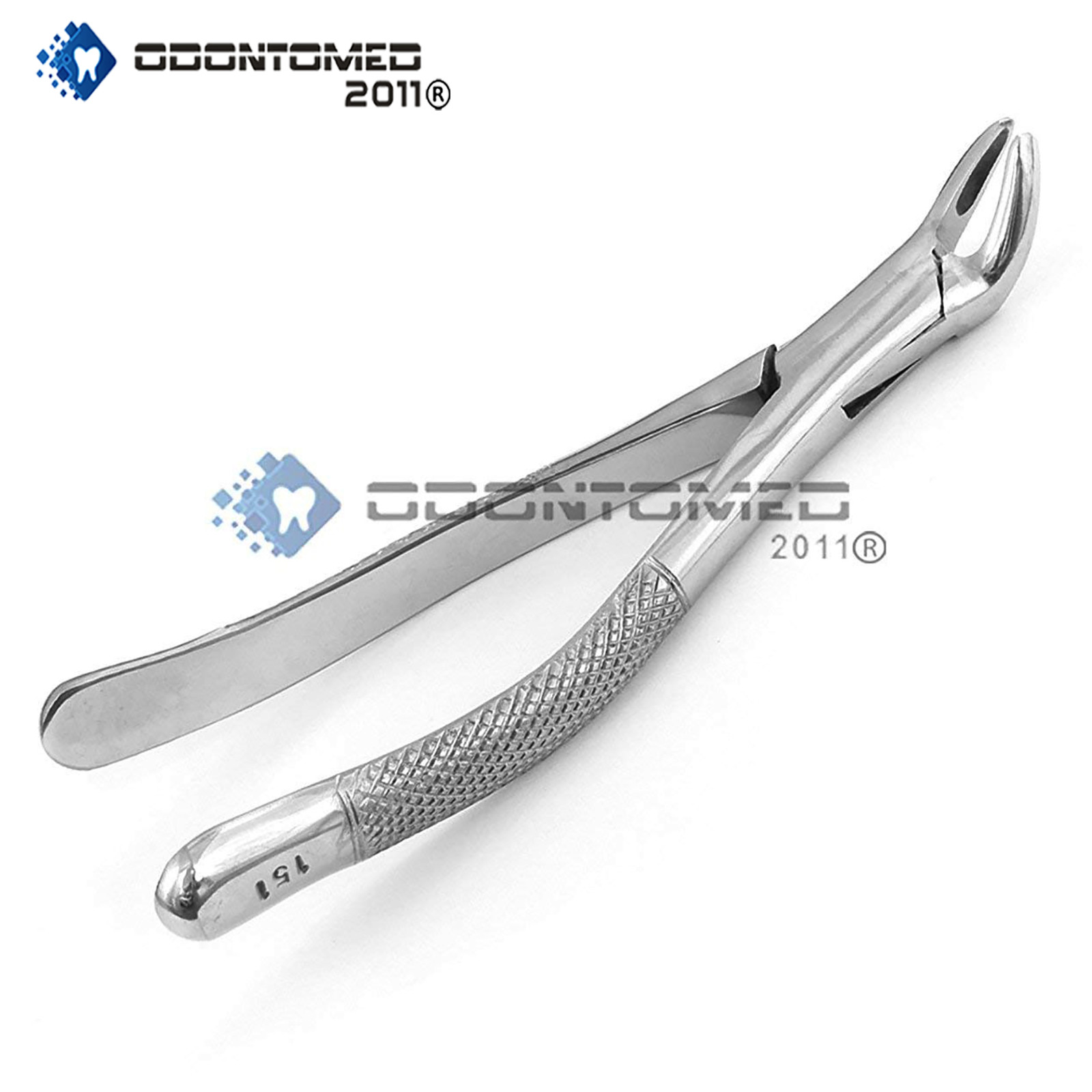 Extracting Forceps #151 Dental Surgical Instruments
