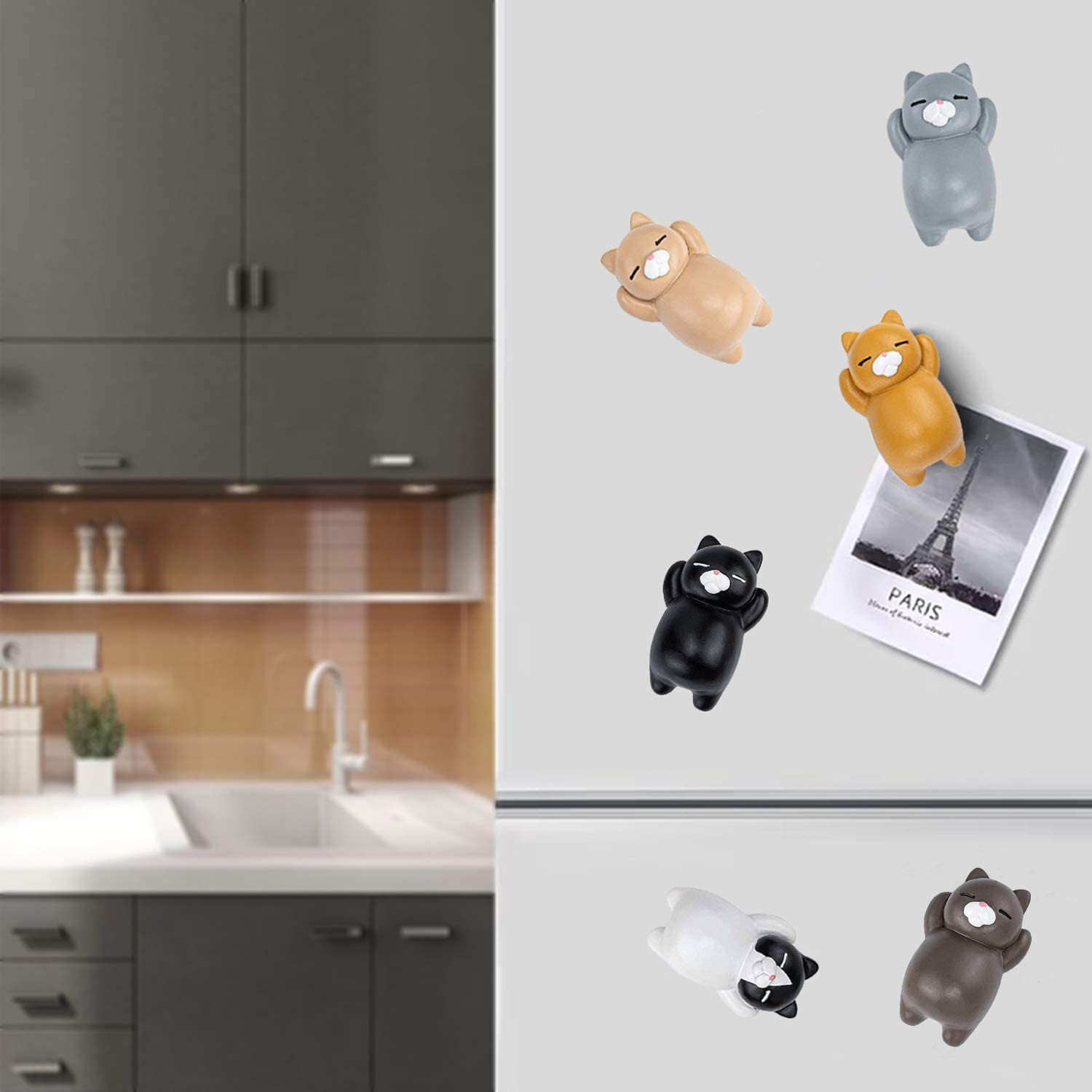 Fun Cat Refrigerator Magnets for Whiteboard, Office, Photos, Notes, Decorative F